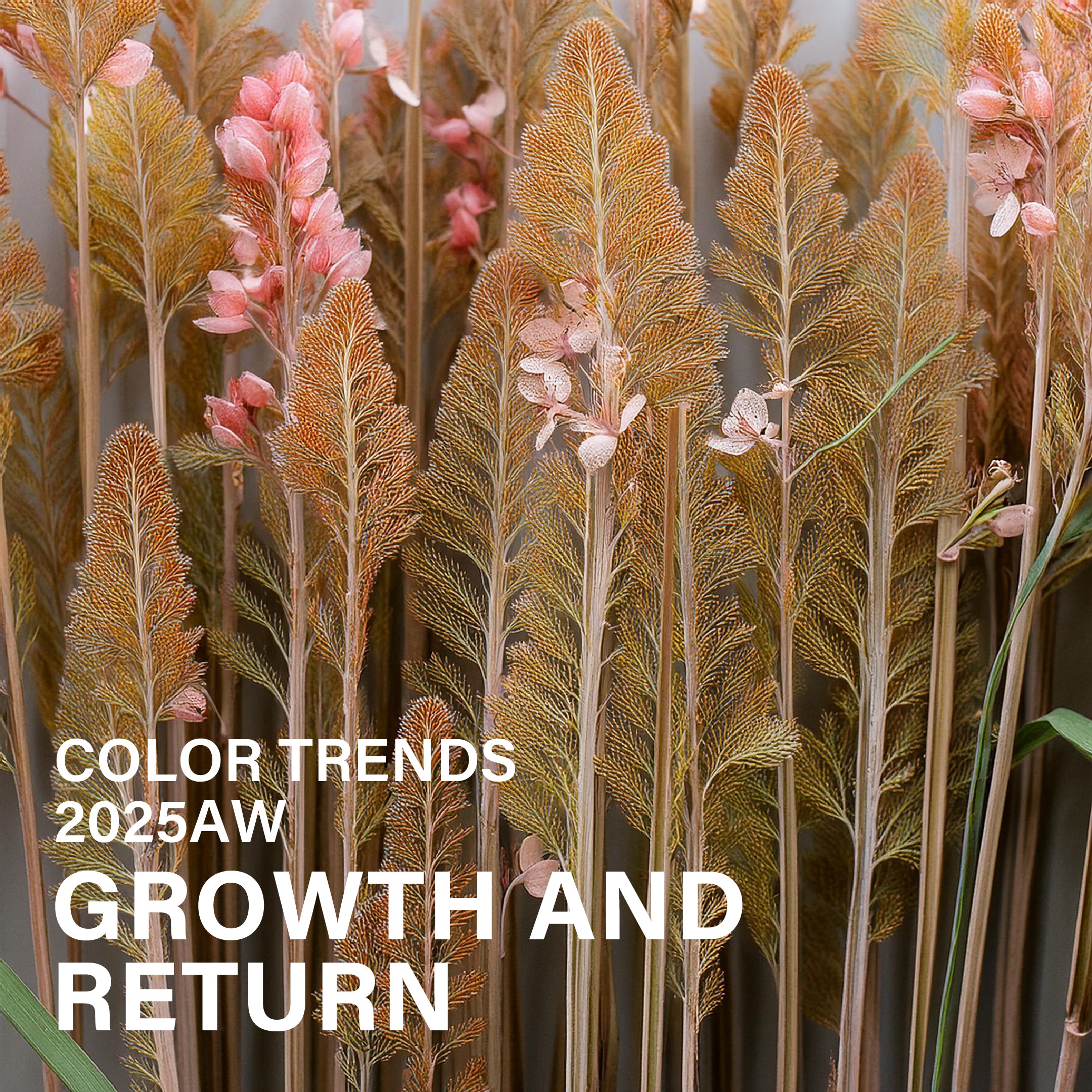 【2025AWカラートレンド】GROWTH AND RETURN - 成長と還元