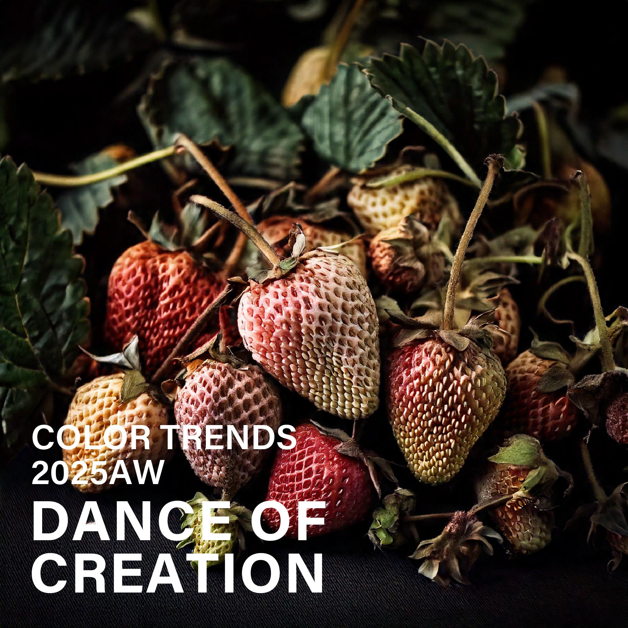【2025AWカラートレンド】DANCE OF CREATION - 創造の舞