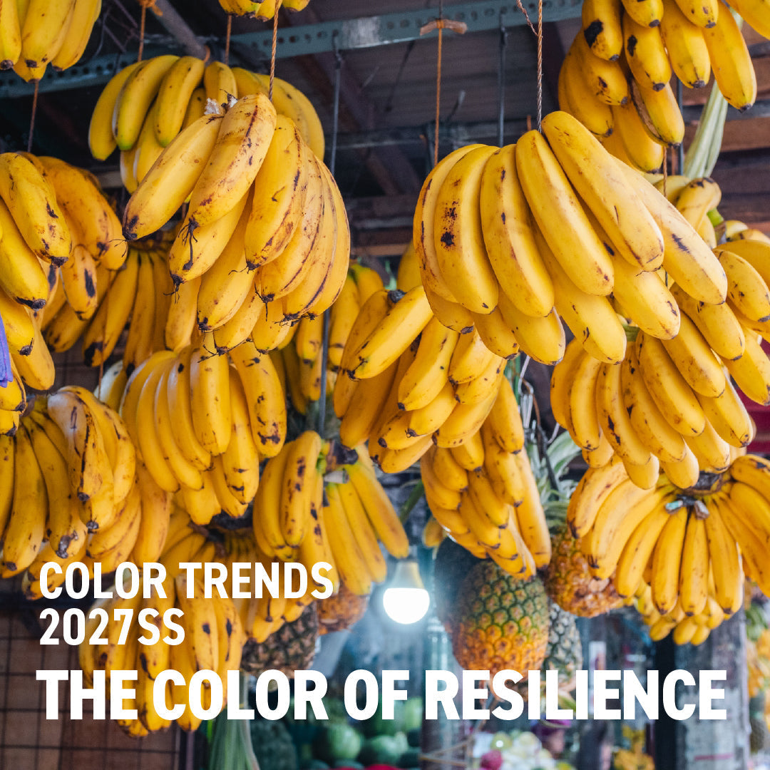 【2027SSカラートレンド】THE COLOR OF RESILIENCE - 生き抜く力としてのオールドゴールド