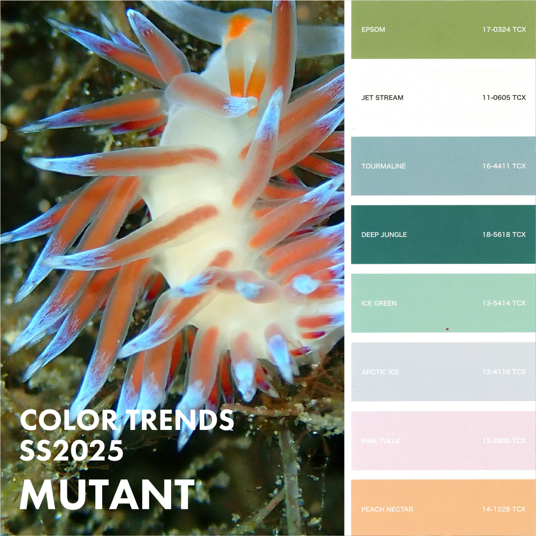 2025SSカラートレンド VISION ON COLOUR 4 MUTANT
