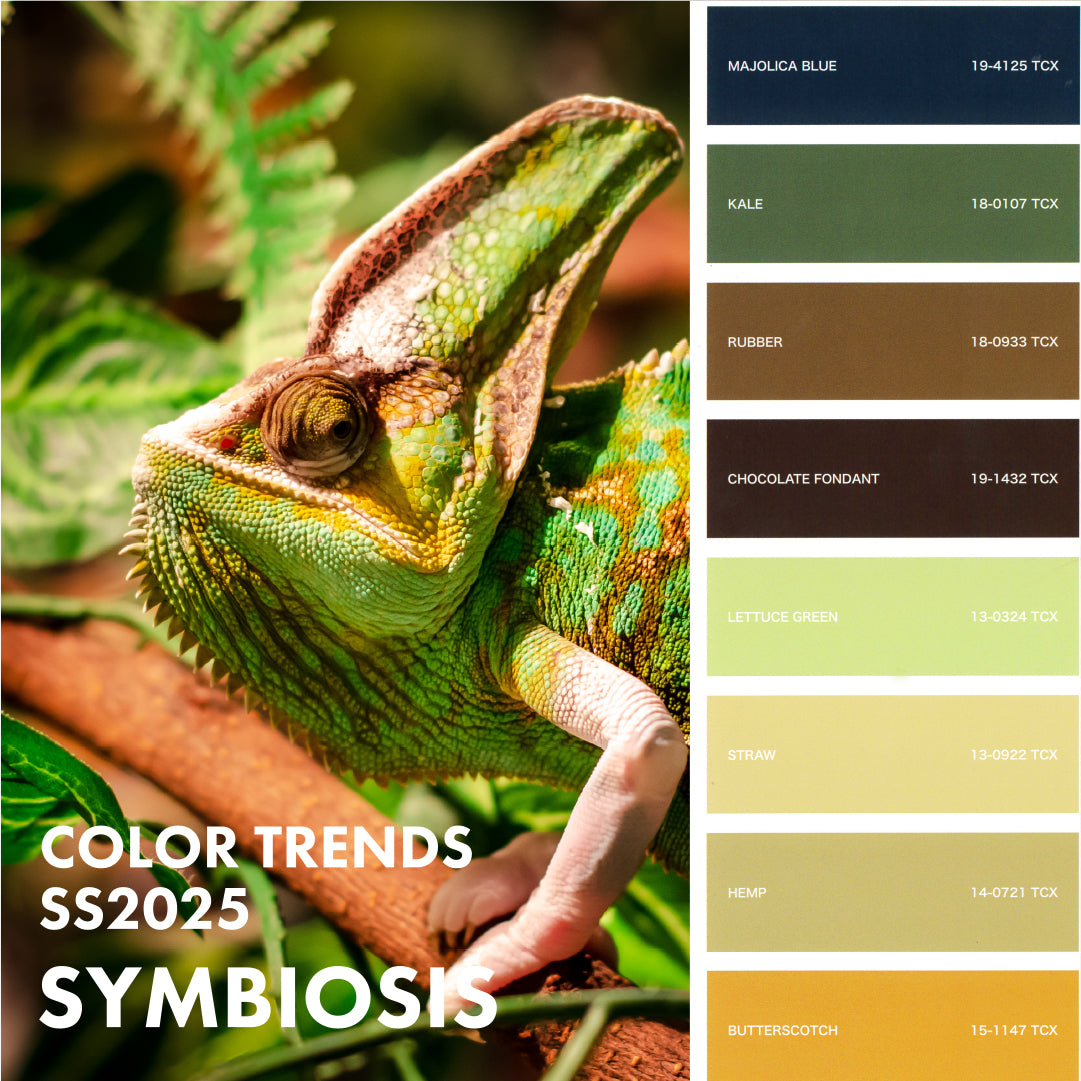 のたりページ 2025SSカラートレンド VISION ON COLOUR 1 SYMBIOSIS